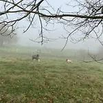 아파트 Charaktervolle Whg Mit Parkplatz Naehe Kassel 한노버슈문덴