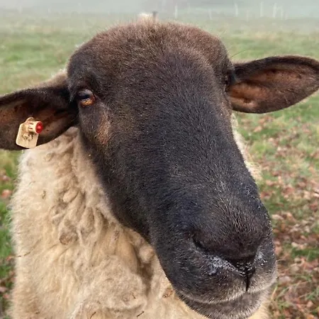 Appartement Charaktervolle Whg Mit Parkplatz Naehe Kassel