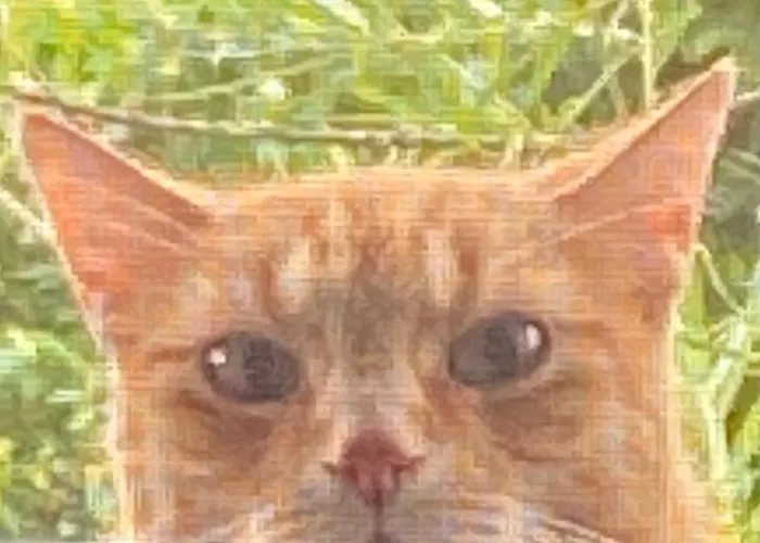 Charaktervolle Whg Mit Parkplatz Naehe Kassel Appartement