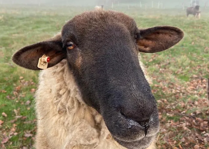 Appartement Charaktervolle Whg Mit Parkplatz Naehe Kassel