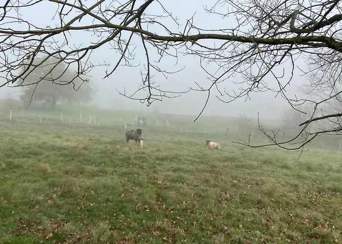 公寓 Charaktervolle Whg Mit Parkplatz Naehe Kassel 汉诺威-明登