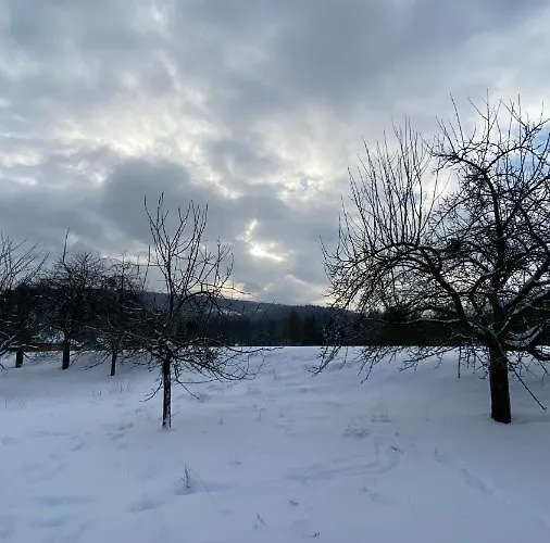 公寓 Charaktervolle Whg Mit Parkplatz Naehe Kassel *